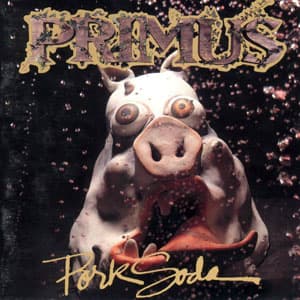 Pork Soda album cover